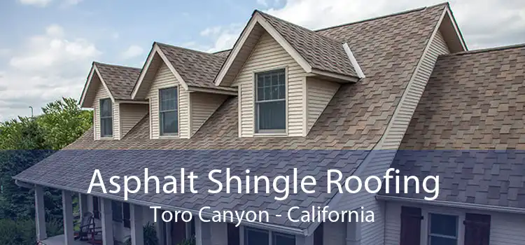 Asphalt Shingle Roofing Toro Canyon - California