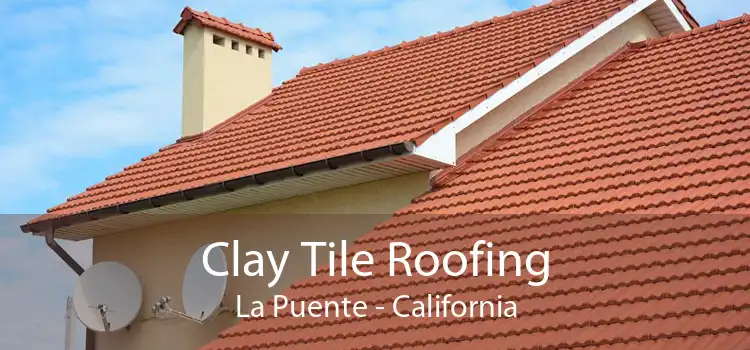Clay Tile Roofing La Puente - California