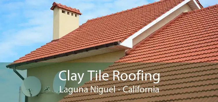 Clay Tile Roofing Laguna Niguel - California