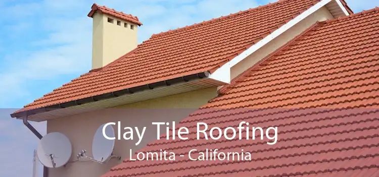 Clay Tile Roofing Lomita - California
