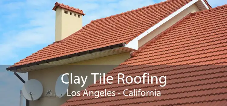 Clay Tile Roofing Los Angeles - California