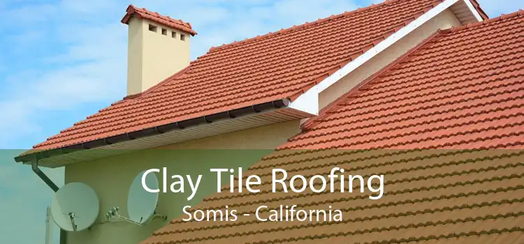 Clay Tile Roofing Somis - California