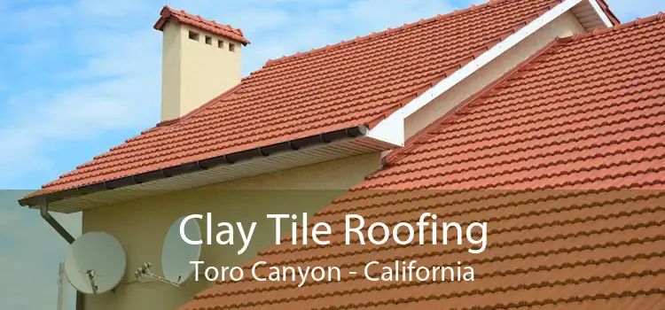 Clay Tile Roofing Toro Canyon - California