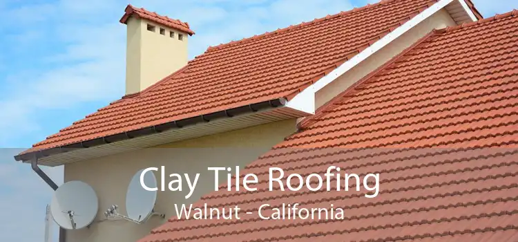 Clay Tile Roofing Walnut - California