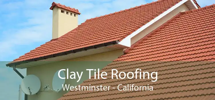 Clay Tile Roofing Westminster - California