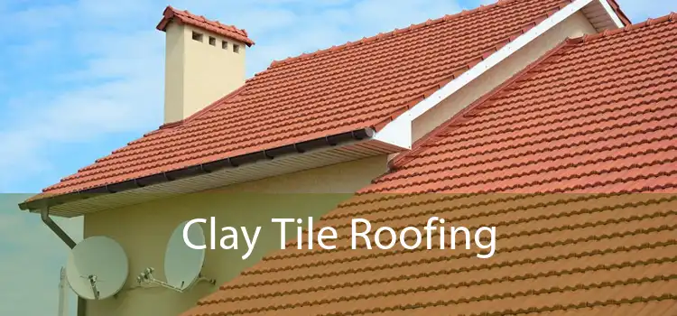 Clay Tile Roofing 