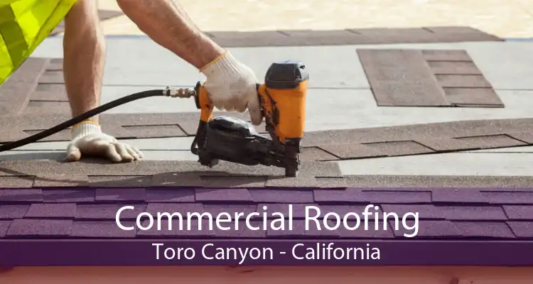 Commercial Roofing Toro Canyon - California