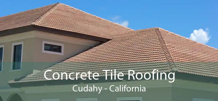 Concrete Tile Roofing Cudahy - California