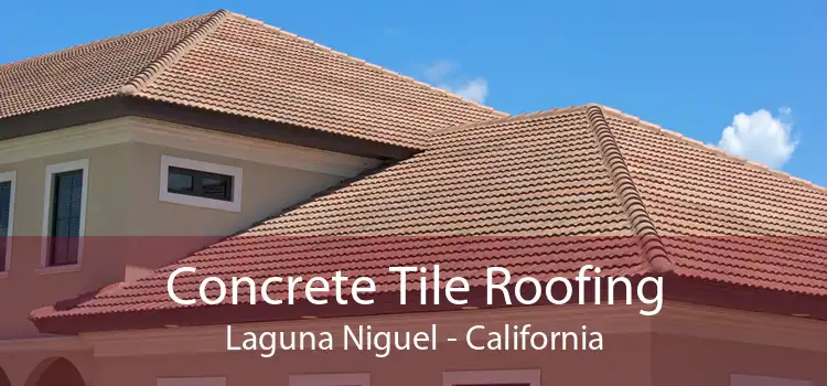 Concrete Tile Roofing Laguna Niguel - California