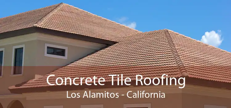 Concrete Tile Roofing Los Alamitos - California