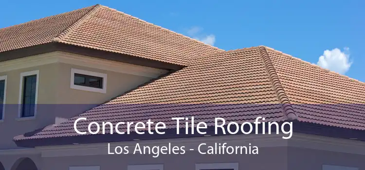 Concrete Tile Roofing Los Angeles - California
