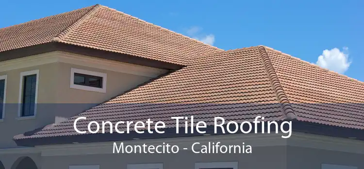 Concrete Tile Roofing Montecito - California