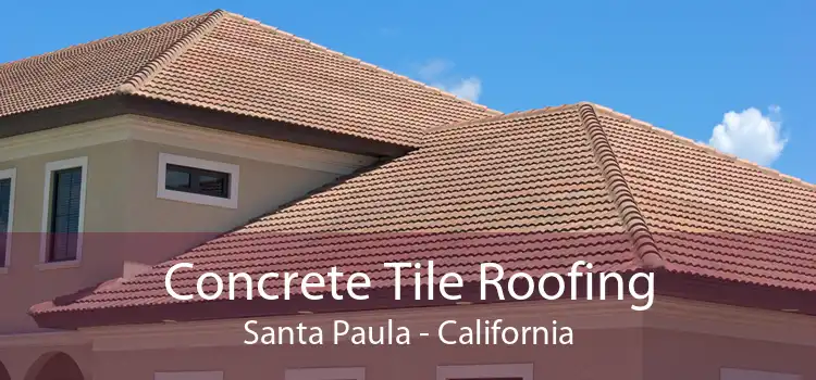 Concrete Tile Roofing Santa Paula - California
