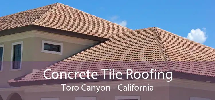 Concrete Tile Roofing Toro Canyon - California