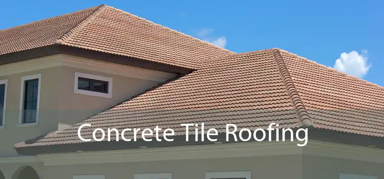 Concrete Tile Roofing 