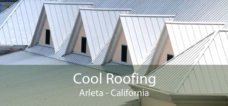 Cool Roofing Arleta - California