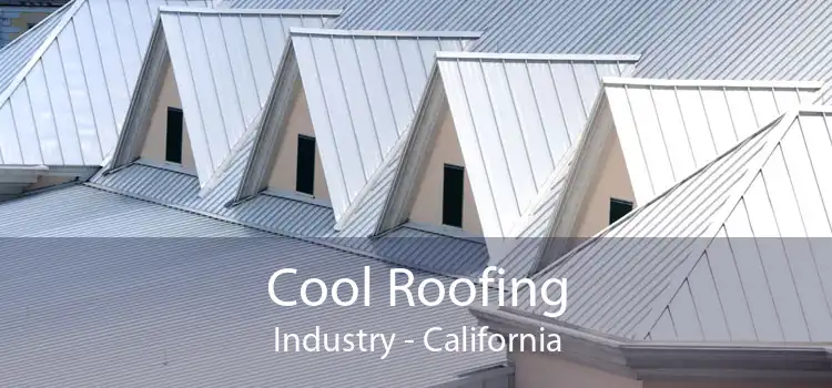 Cool Roofing Industry - California