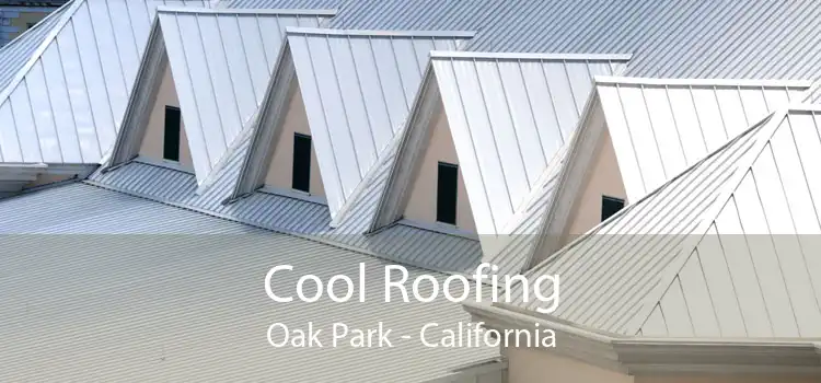 Cool Roofing Oak Park - California