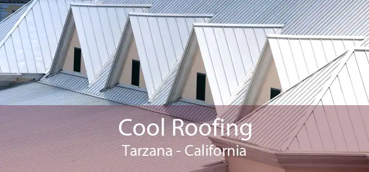Cool Roofing Tarzana - California