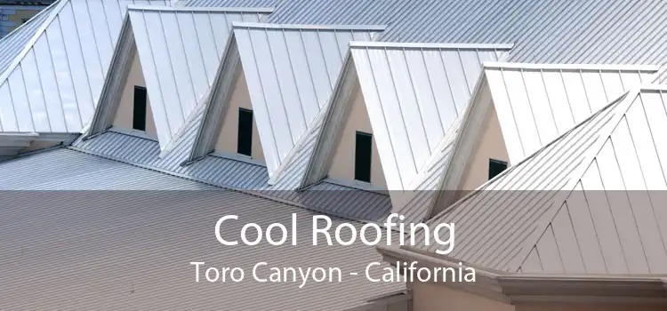 Cool Roofing Toro Canyon - California