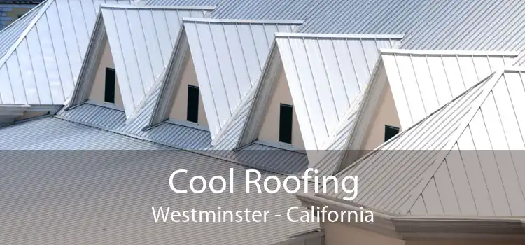 Cool Roofing Westminster - California