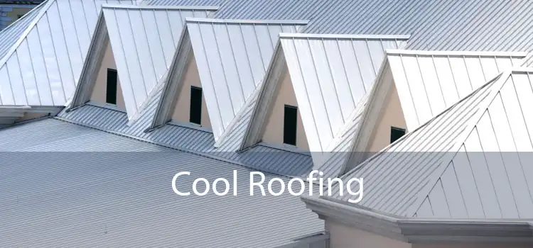Cool Roofing 