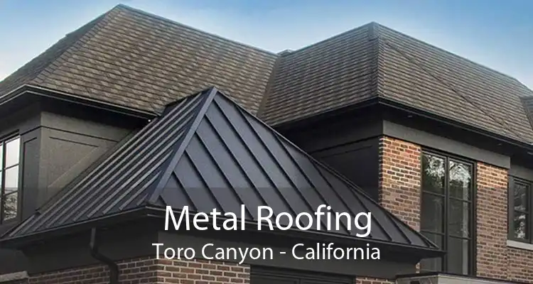 Metal Roofing Toro Canyon - California