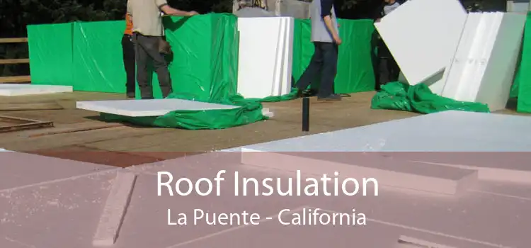 Roof Insulation La Puente - California