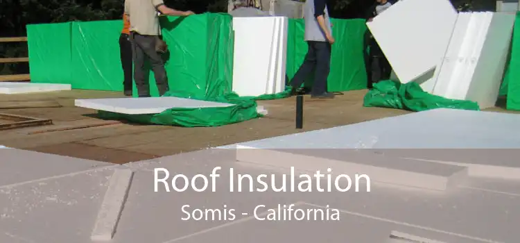 Roof Insulation Somis - California