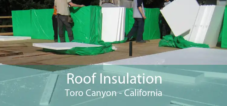 Roof Insulation Toro Canyon - California