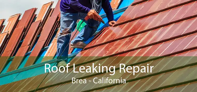 Roof Leaking Repair Brea - California