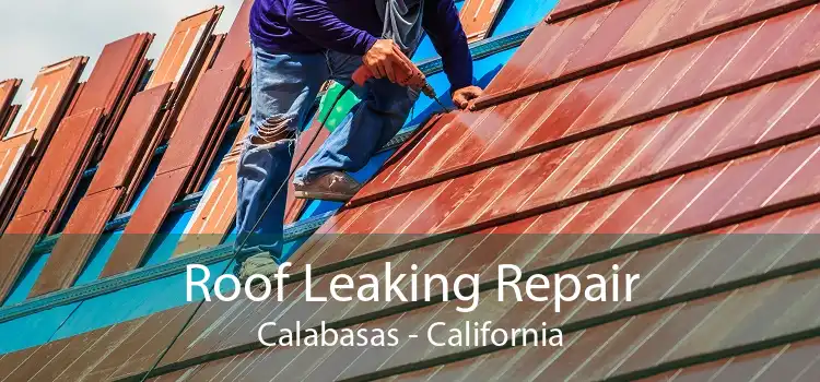Roof Leaking Repair Calabasas - California