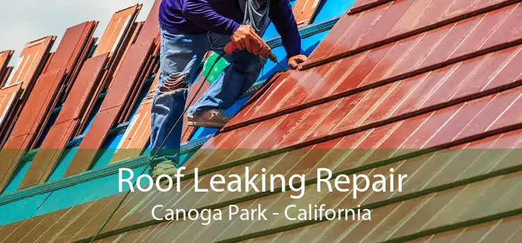 Roof Leaking Repair Canoga Park - California