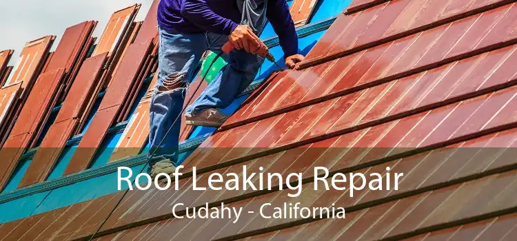 Roof Leaking Repair Cudahy - California