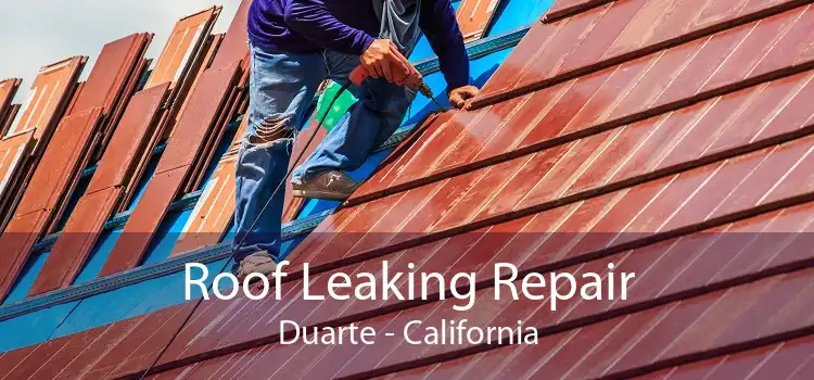 Roof Leaking Repair Duarte - California