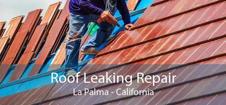 Roof Leaking Repair La Palma - California