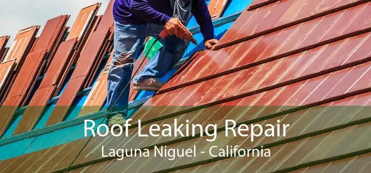 Roof Leaking Repair Laguna Niguel - California