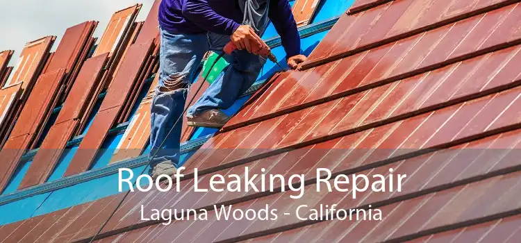 Roof Leaking Repair Laguna Woods - California
