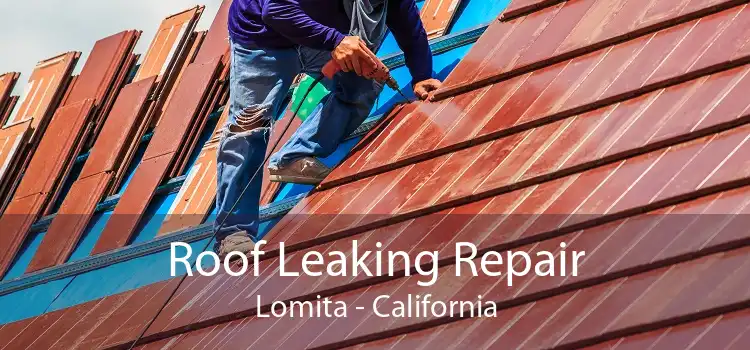 Roof Leaking Repair Lomita - California