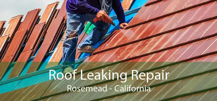 Roof Leaking Repair Rosemead - California