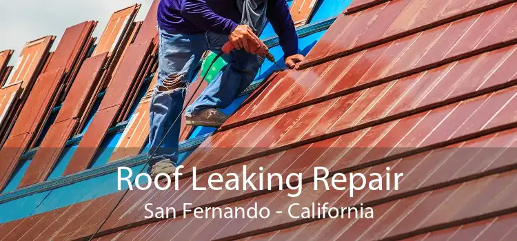Roof Leaking Repair San Fernando - California