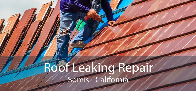 Roof Leaking Repair Somis - California
