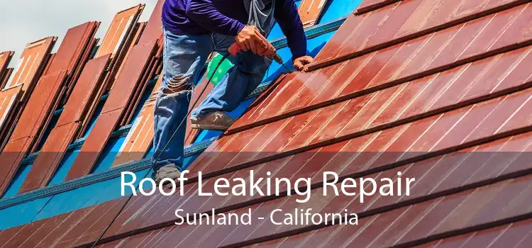 Roof Leaking Repair Sunland - California