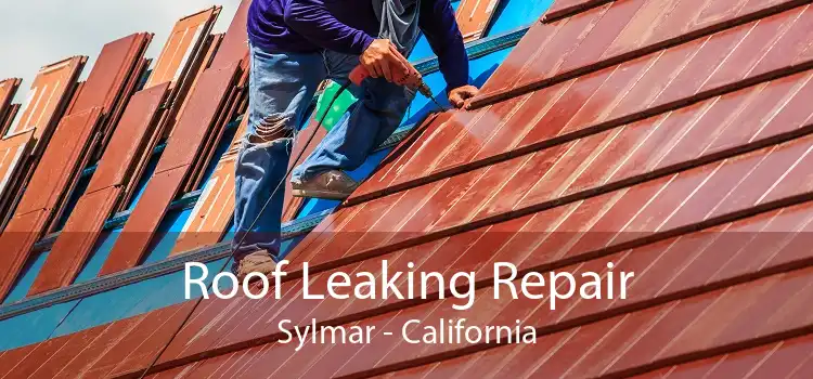 Roof Leaking Repair Sylmar - California
