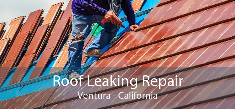 Roof Leaking Repair Ventura - California