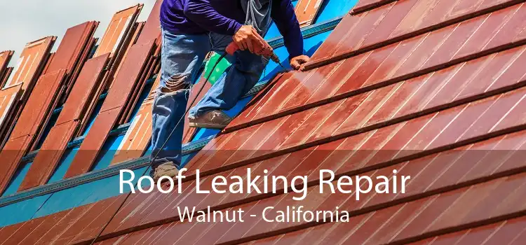 Roof Leaking Repair Walnut - California