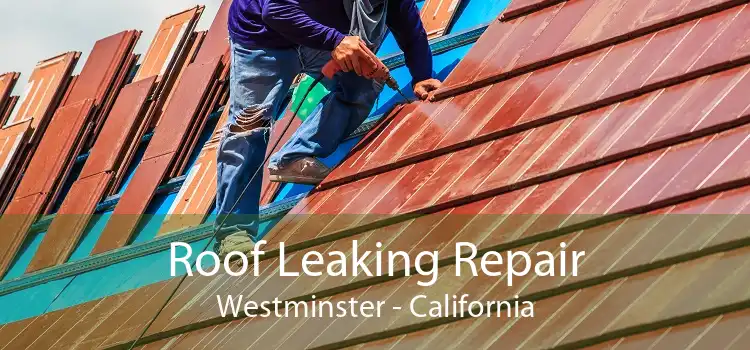 Roof Leaking Repair Westminster - California