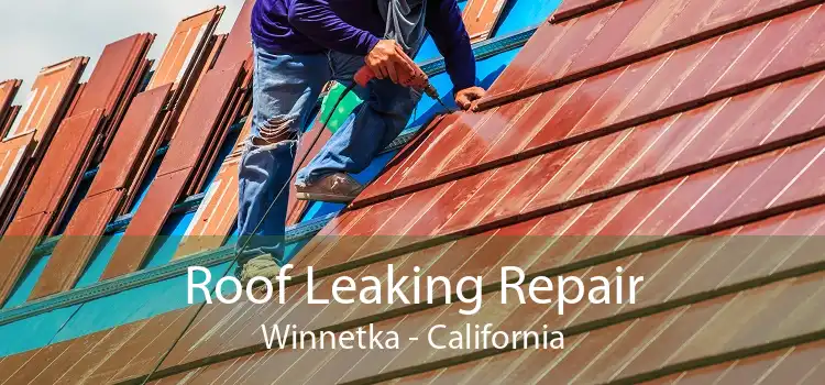 Roof Leaking Repair Winnetka - California