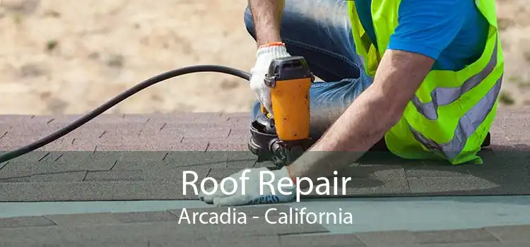 Roof Repair Arcadia - California