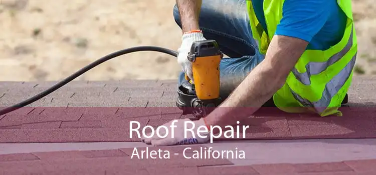 Roof Repair Arleta - California